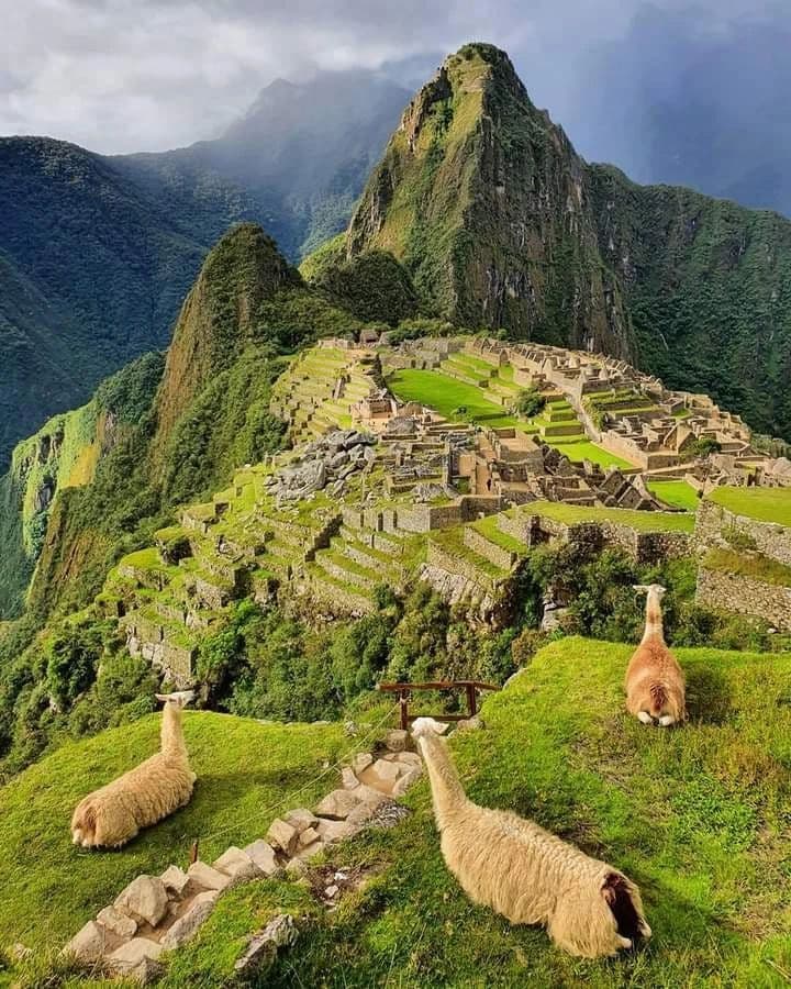 Machu Picchu